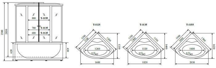 Душевая кабина Timo Standart Silver F 135*135*220  (T-6635SF)