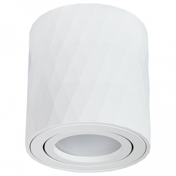 Накладной светильник Arte Lamp Fang A5559PL-1WH