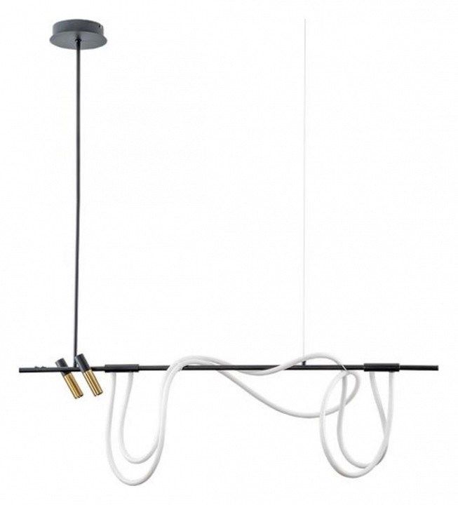 Светильник на штанге Arte Lamp Klimt A2850SP-45BK