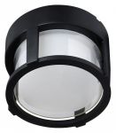 Накладной светильник Arte Lamp Ulysses A6206PF-1BK